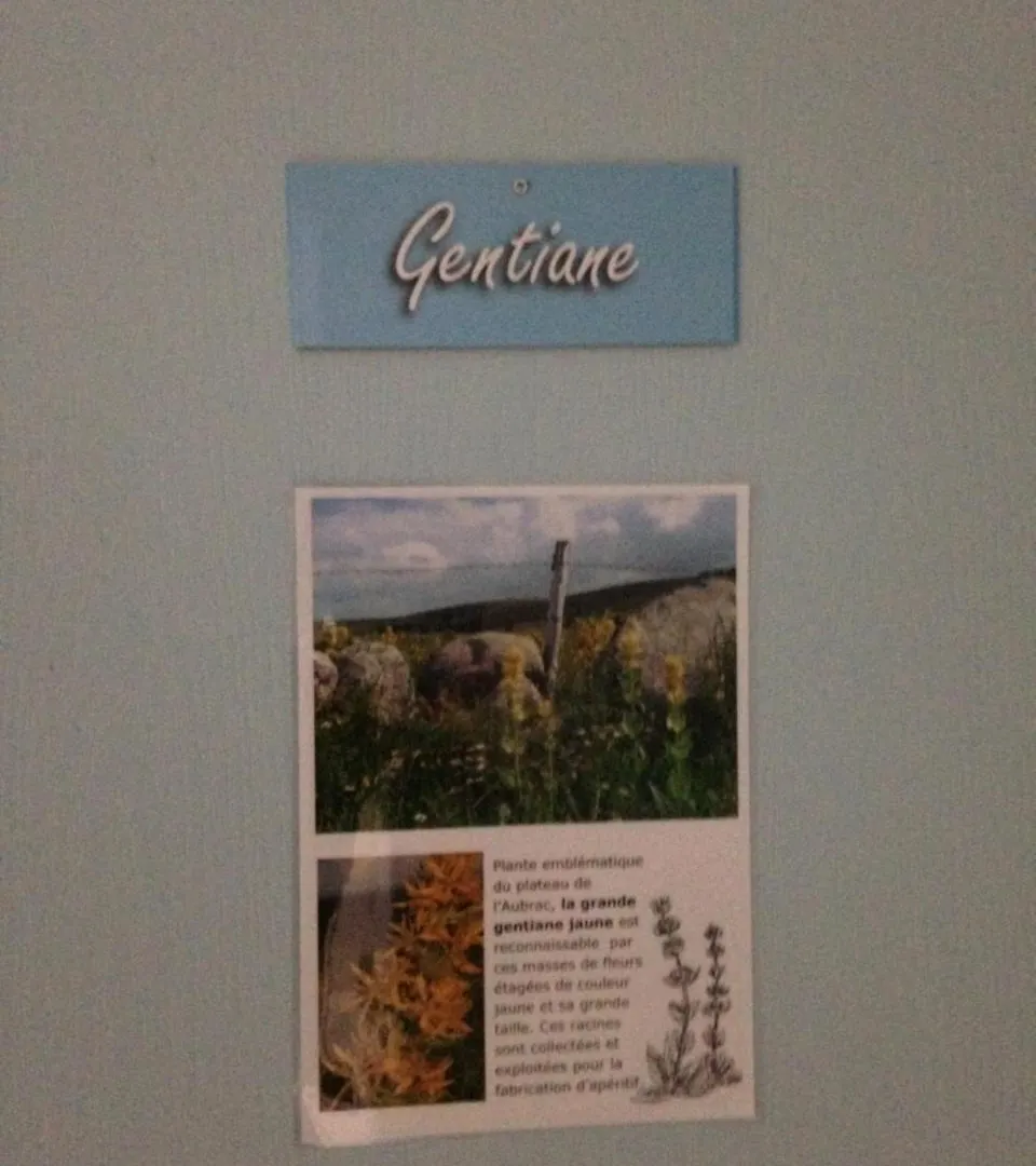 Gite Du Forail Laguiole